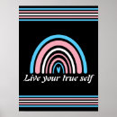 Search for transgender pride flag posters Queer