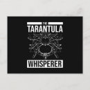 Search for tarantulas postcards Halloween