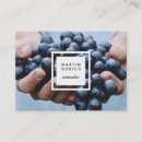 Search for wine grape Vineyard