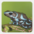 Search for panama stickers Animal