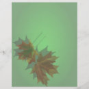 Search for maple flyers Autumn