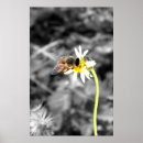 Search for pollinator posters Nature