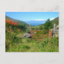 Search for kerry postcards Ring of kerry