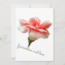 Search for carnations invitations Botanical