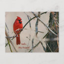 Search for virginia state bird postcards North carolina