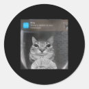 Search for funny cat meme stickers Lets go brandon