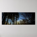 Search for moon in the sky posters Evening