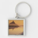 Search for michel key rings Landscape