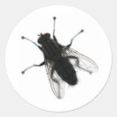 Search for flying insect stickers Flies