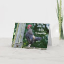 Search for crow cards Rooster