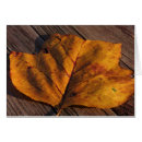 Search for leaf vein postcards Botanical