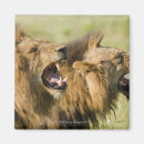 Search for anger magnets Horizontal