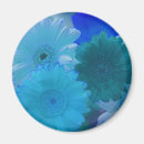 Search for gerberas magnets Daisies