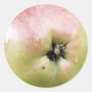 Search for eating apple stickers Fruit