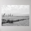 Search for black and white beach posters Florida