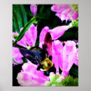 Search for bee print posters Nature