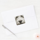Search for dog nose stickers Pet