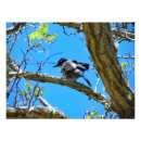 Search for channel art Channel islands national park