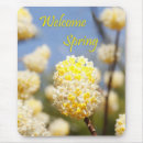 Search for sping Flower