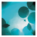 Search for aquatic posters Sea