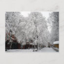 Search for prado postcards Park