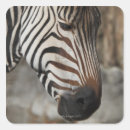 Search for wild side stickers Outdoors