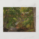 Search for covered bridge postcards New england