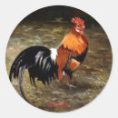 Search for gallo stickers Animal