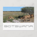 Search for botswana travel postcards Africa
