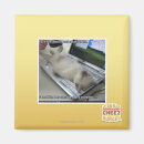Search for respond magnets I can has cheezburger