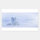 Search for winter fox stickers Nature