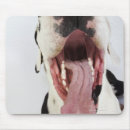 Search for mouth open electronics Dog