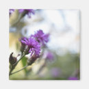 Search for original magnets Floral