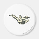 Search for bw magnets Justice league heroes