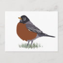 Search for robin red breast Drawing