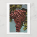 Search for lithographer postcards Chromo