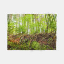 Search for danita delimont blankets Forest