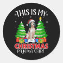 Search for english setter stickers Merry xmas
