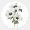 Search for anemones stickers White
