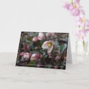 Search for mother easter cards Flower