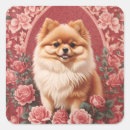 Search for pomeranian dog stickers Pet