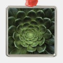 Search for growth christmas tree decorations Green