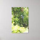 Search for back yard art Nature