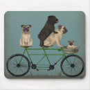 Search for tandem electronics Dogs on bicycles