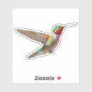 Search for humming bird stickers Hummer