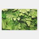 Search for ginkgo stickers Tree