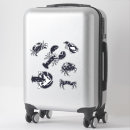Search for boiling electronics Crab