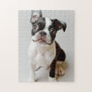 Search for boston terrier puzzles Domestic animals
