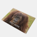 Search for monkeys photography Orangutans