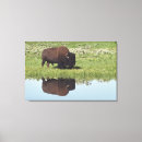 Search for meadow canvas prints Outdoors